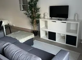 My Cozy Oura Studio