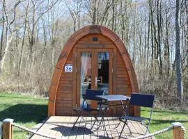36 Mini Pod "Sorge"