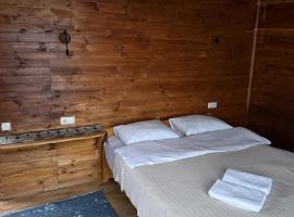Panorama Gomarduli: Shuakhevi şehrinde bir otel