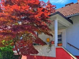 Family Apartment near Terme Čatež - 4C