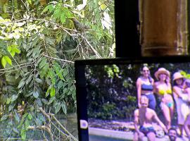 Bio Coliving Tayrona, Eco Retreat for You or Your group with Fast, Reliable WiFi & Power in Nature, hotel a Santa Marta