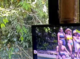 Bio Coliving Tayrona, Eco Retreat for You or Your group with Fast, Reliable WiFi & Power in Nature