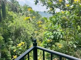 The Ambuluwawa Mount Feet