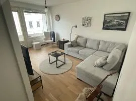 Kolmikulman Kingi, a renovated flat with balcony