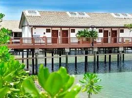 Brassalova Signature Stay