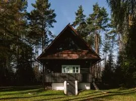 Cozy wooden cottage by the lake with a sauna