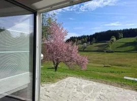 Ferienwohnung Anni AktivCARD 5 Personen Terrasse Bayerischer Wald