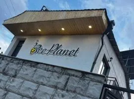Bee Planet Garni