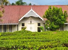 Estate IV - Cardamom Suite - Tea Estate Stay
