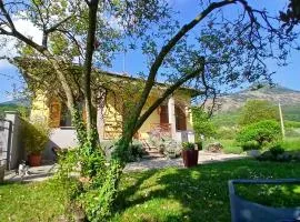 Casa La V G