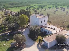 Masseria Giangrande - Rooms and Apartment