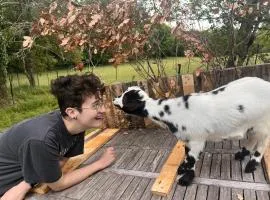 Countryside Views Near Sarlat - Goats, Ducks & Chickens - Farm Experience