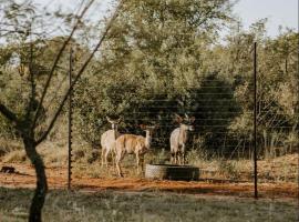 Nyala Lodge, hotel di Rayton
