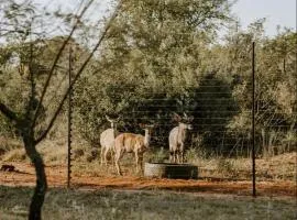 Nyala Lodge