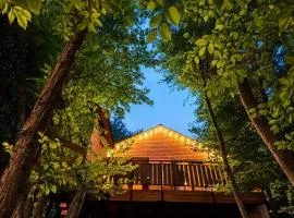 WoodLand Tskhvarichamia Private Cottage in Forest , 25 min from Tbilisi, Easy Access