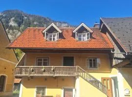 Schwarze Gräfin