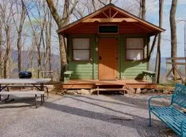 Private Mountain Sanctuary Cabin Surrounded by Protected Forest in Black Mountain, North Carolina
