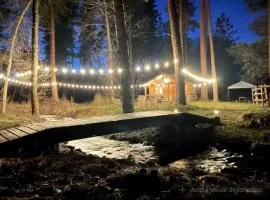 Peaceful Cabin Escape Surrounded by Nature in Frenchtown, Montana