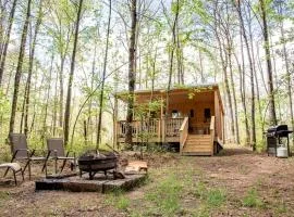 Cozy Scandinavian Cabin with EV Charging on 18-Acre Forest Retreat Near The Caverns & Waterfalls, Coalmont, TN