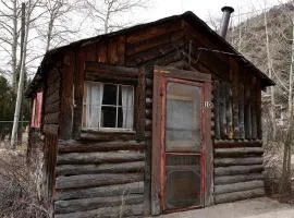 Pet Friendly Fishing Cabin close to Poudre River, Perfect for a Weekend Escape from Fort Collins