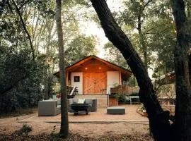 Cozy Lakefront Glamping Cabin with Private Patio near Austin, Texas