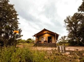 Incredible Safari Tent with Fire Pit in San Saba, Texas