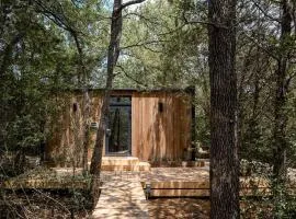 Romantic Mirror Cabin Retreat by the Lake in the Enchanted Forests of Texas