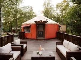 Rustic Glamping Yurt with Sauna and Cold Plunge in Willowemoc Wild Forest in Livingston Manor, New York