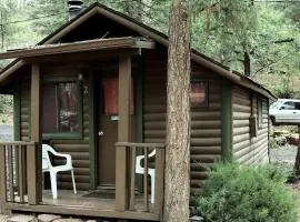 Pet Friendly Studio Cabin with Fireplace near Tonto National Forest, Central Arizona