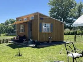 Cozy Tiny House with Fire Pit and Barbecue in Mount Jackson, Virginia