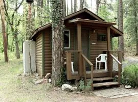 Rustic Studio Cabin with Fireplace, along Tonto National Forest, Perfect for a Weekend of Relaxation