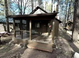 Pet Friendly Studio Cabin with Kitchenette and BBQ, Perfect for a Weekend in the Forest of Christopher Creek