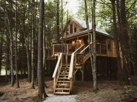 Woodland Wonder: Experience Luxury in a Treehouse in Norway, ME