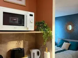 Appartement Grenouillit, hyper centre du Puy