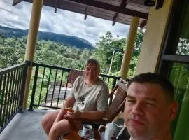 Rainforest Hide View