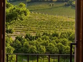 Villa Irene Langhe