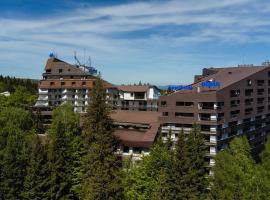 Alpin Resort Hotel、ポイアナ・ブラショフのホテル