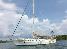 Velero en la Bahia