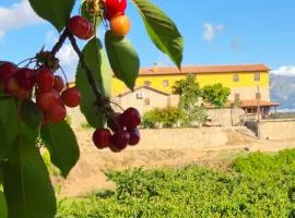 Quinta do Limite - Agroturismo