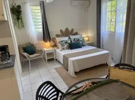 Studio cosy et nature proche Saint Pierre et plages