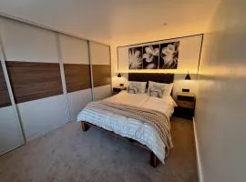 Modern One-Bedroom home
