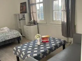 Spacious Room2 in Central London Elephant and Castle Station