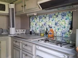 Caravan Rustic Sunflower