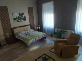 Edina Apartman