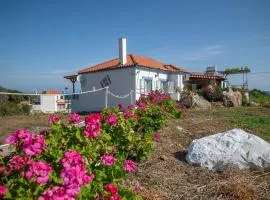 Sofia's Sea View House