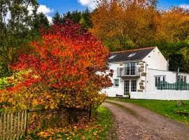 Holiday Cottage Falmouth