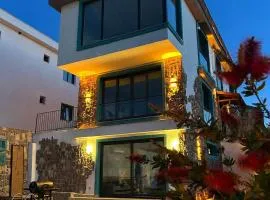 Villa Turquoise with Jacuzzi Suite and Private Pool