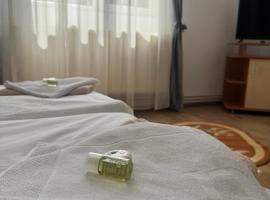 Motel Vatra Bunătăților, מלון בברזוי