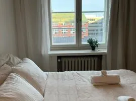Bright studio in a central location