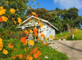 Cabana Estrela da Montanha 2